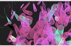 Digital Haiku – Interactive art experiment