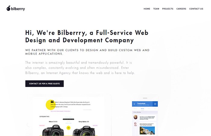 Bilberrry Web Development