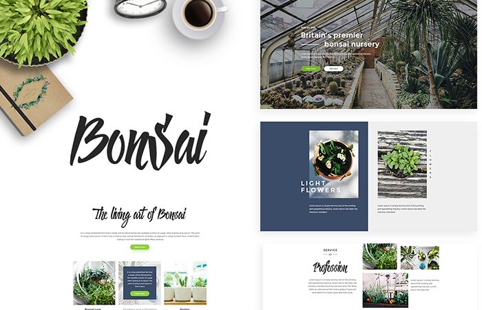 Bonsai
