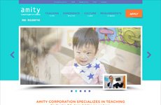 Amity Teachers