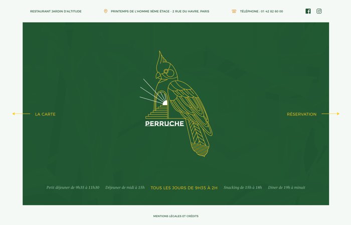 Perruche