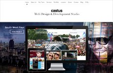 Castus Web Design & Development Studio