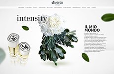 Diverso Event Design