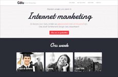Galu Internetbureau Webdesign Rotterdam