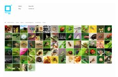 KeanHui Macro Photographer Malaysia