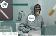 Le singe fume sa cigarette.