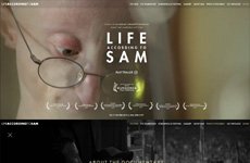 Life According to Sam