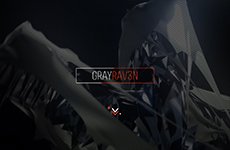 Gray RAVEN