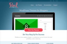 Real Theme Co