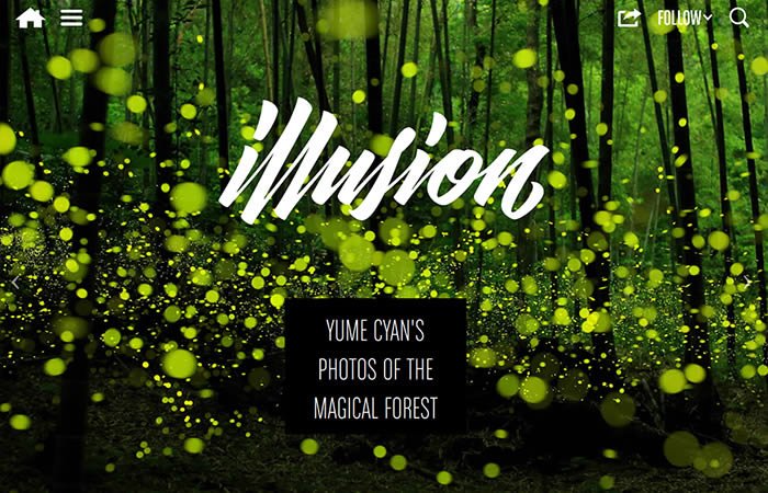 Illusion