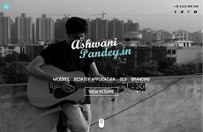 ashwani portfolio