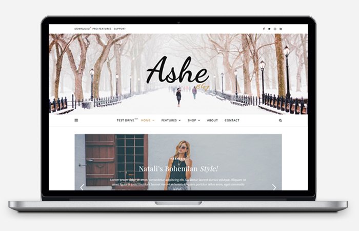 Ashe Free WordPress Blog Theme