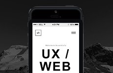 Admir Hadzic Portfolio