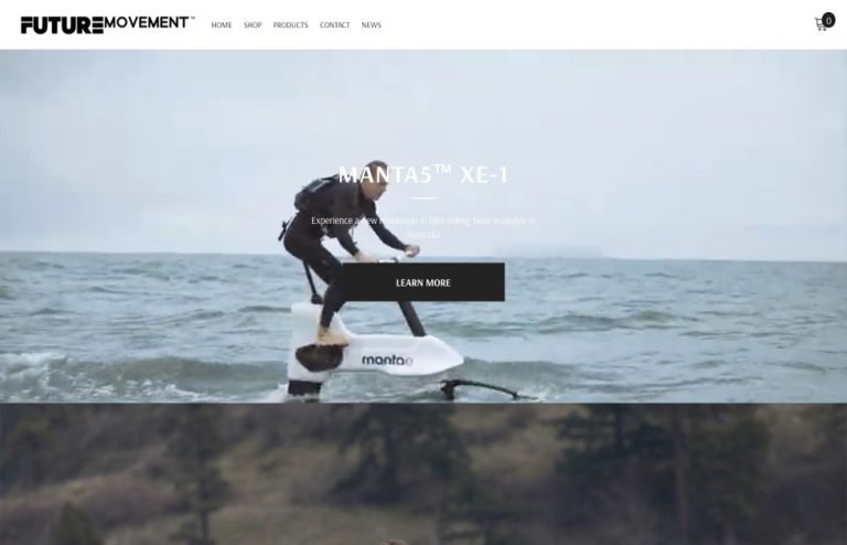 Future Movement Co
