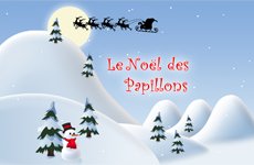 Noel des Papillons