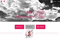Peter Lewit website
