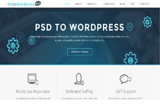 PSDtoWordPressExpert