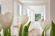 Casa Angelina LifeStyle