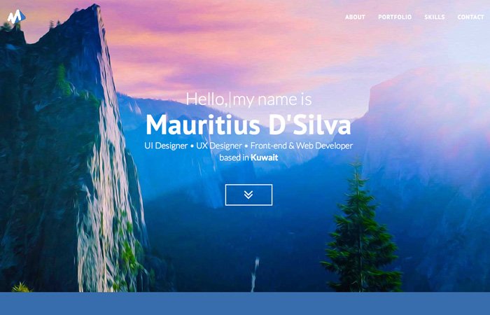 Mauritius DSilva Portfolio Website