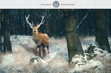 Matt Bartley Portfolio