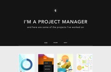 Im a project manager