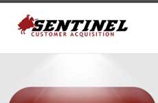 Sentinel Group