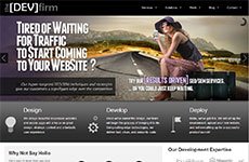 theDevFirm Web Design and Development