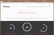 Minicorp WP – Not Just a Corporate Theme