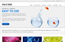 Opulus Theme
