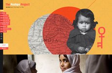 The Pushpa Project