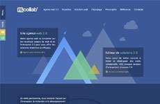 Startup Rscollab