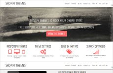 Shopify Themes