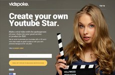 Vidspoke