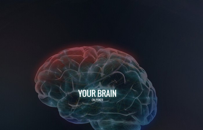 Your Brain On Poker