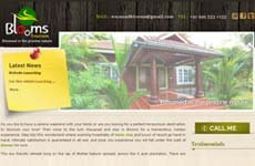 Blooms Tourism