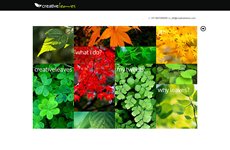 CreativeLeaves