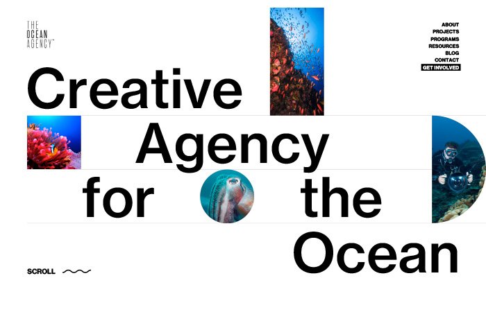 The Ocean Agency