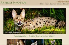 F1Hybrids Savannahs