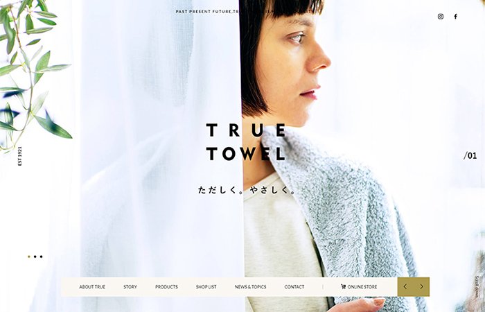 TRUE TOWEL