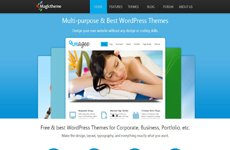 Magic Themes