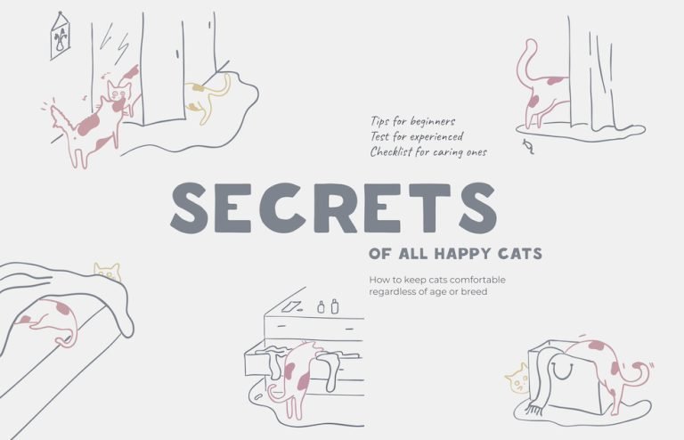 Secrets of happy cats