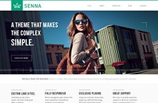 Senna – Responsive Portfolio/Blog WordPress Theme