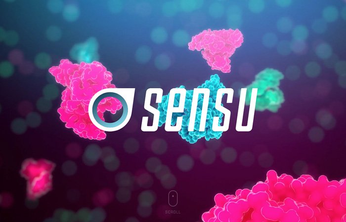 Sensu