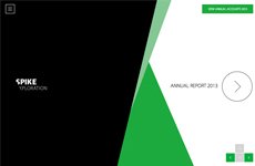 Spike Exploration Annual Report 2013