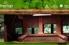 Tree Top Resort