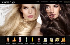 SECRETS DESSANGE